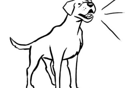 450x300 Bark Clipart Black And White