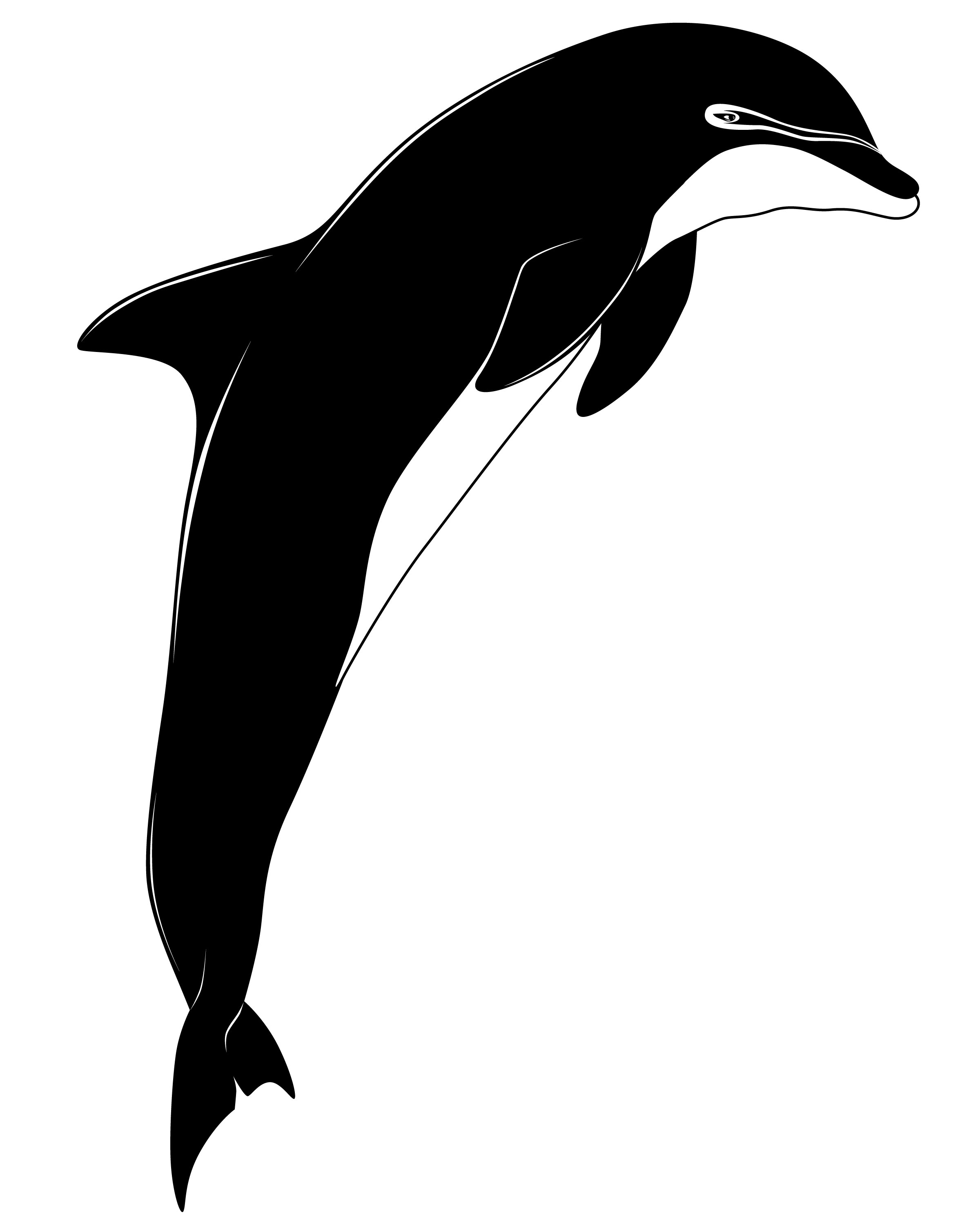 Black And White Dolphin
