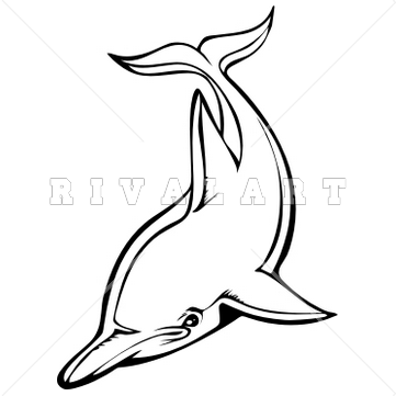 361x361 Dolphin Clipart Black And White Clipart Panda
