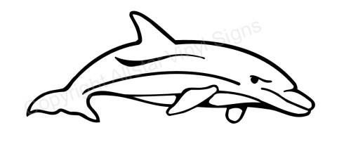 500x222 Drawn Dolphin Black And White