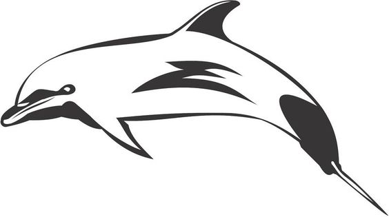 564x315 Jumping Dolphin Outline