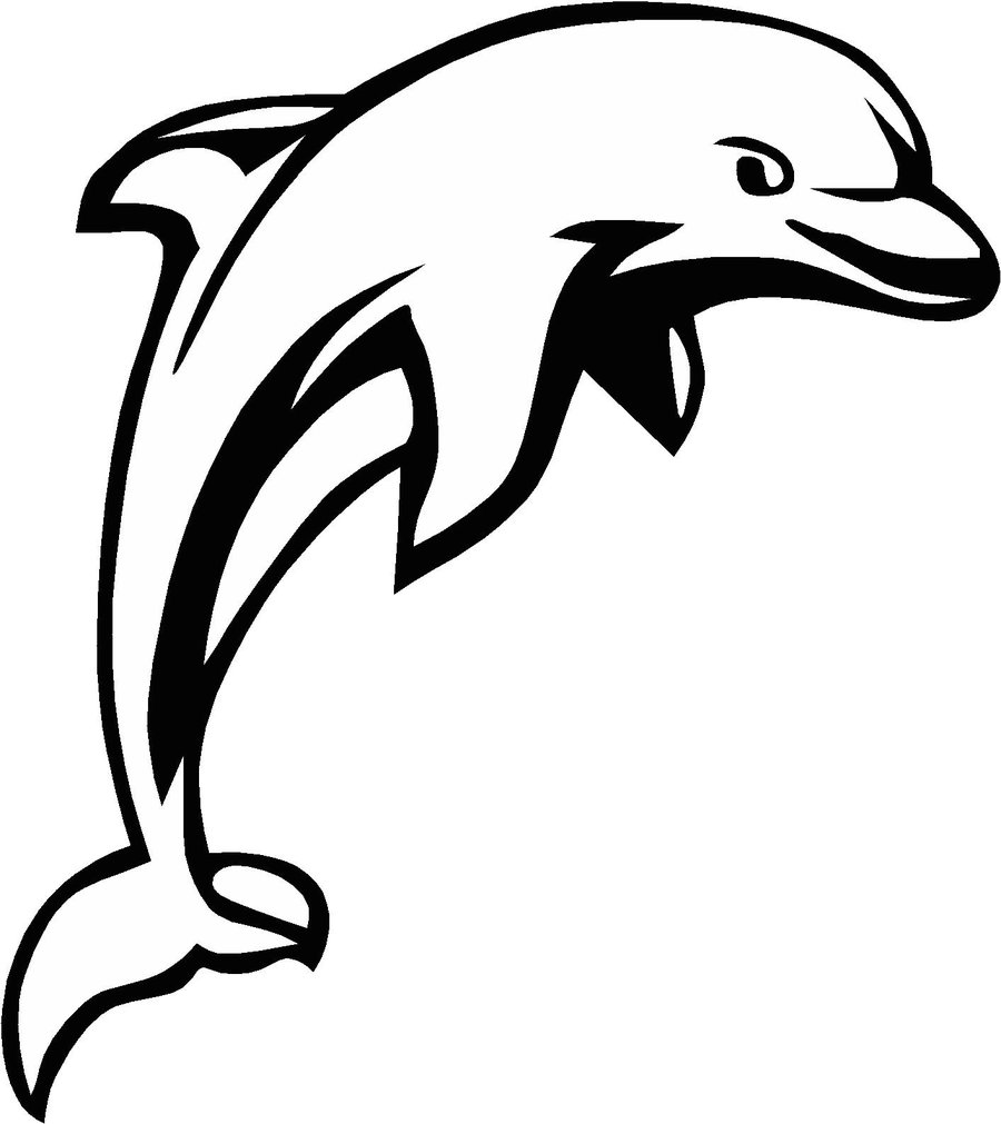 900x1011 White Dolphin Clipart Dolphin Clipart