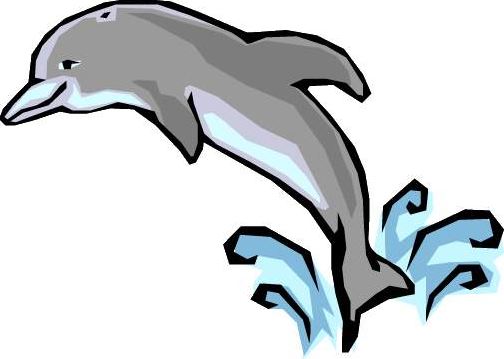 504x359 Dolphin Jumping Clipart Amp Dolphin Jumping Clip Art Images