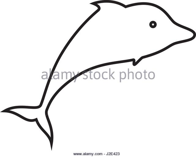 640x515 Flipper The Dolphin Black And White Stock Photos Amp Images