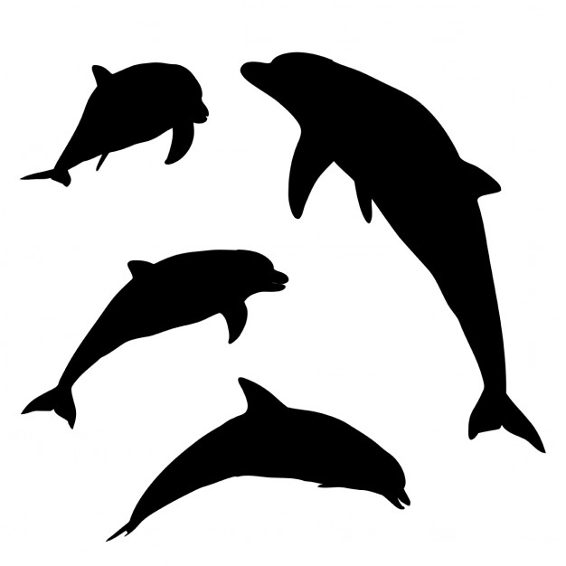 626x626 Silhouettes Of Dolphins In Various Poses Vector Free Download