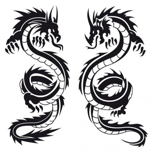 495x498 Black And White Dragon Collection