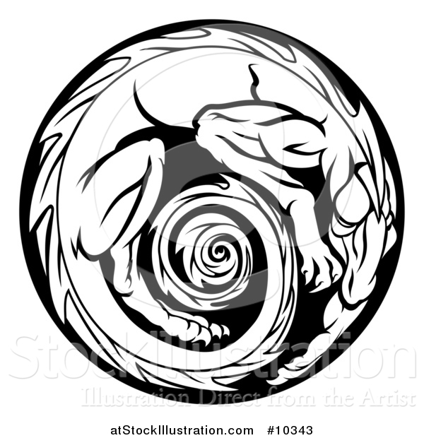 600x620 Vector Illustration Of A Black And White Curled Up Dragon