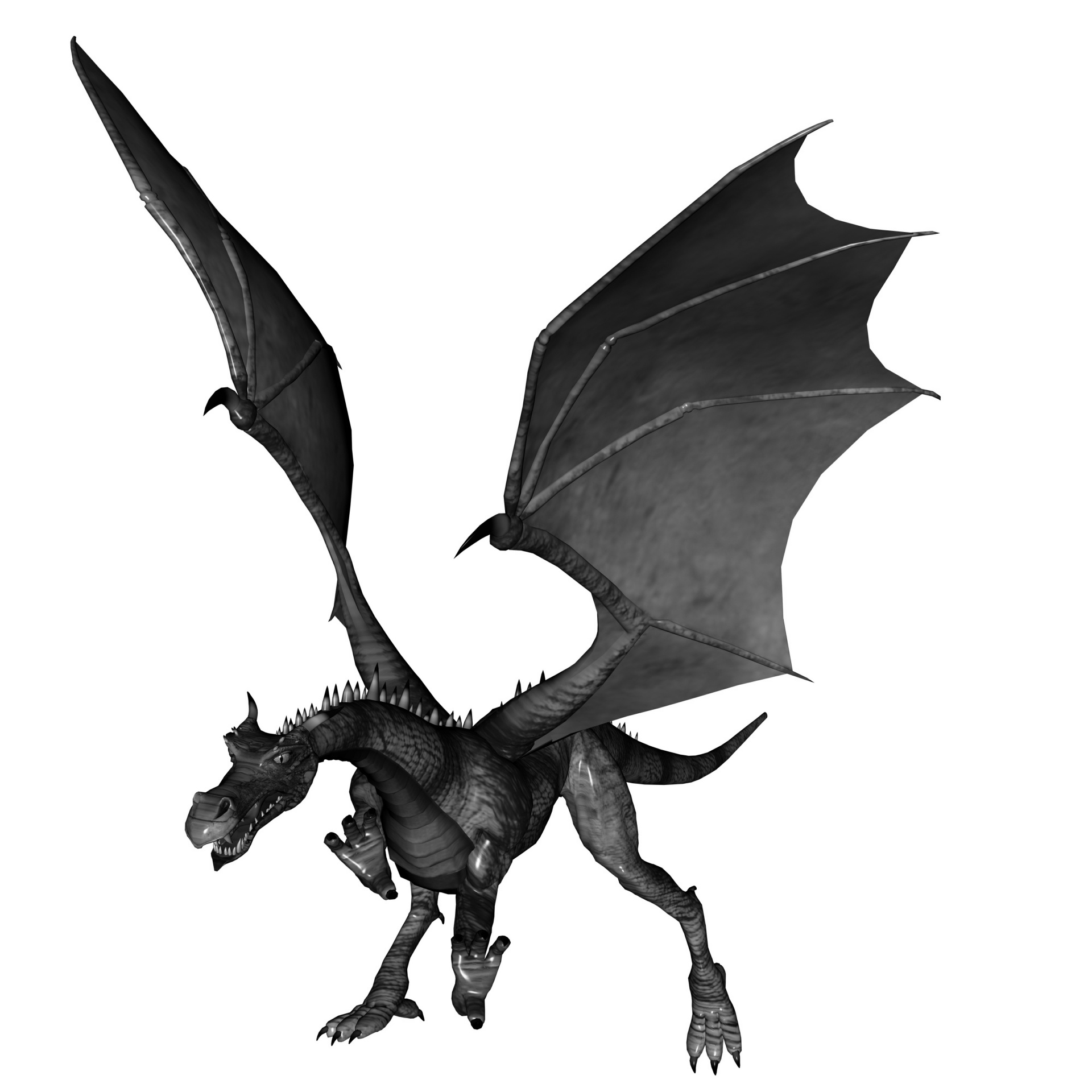 1920x1920 Dragon Pictures Black And White