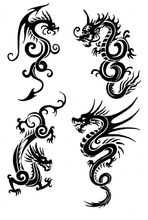 500x743 Best Tribal Dragon Tattoos Ideas Dragon Tattoo