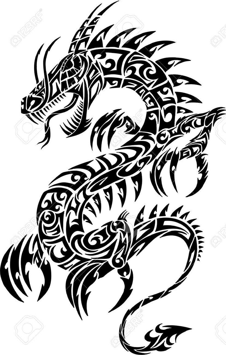 736x1154 30 Best Simple Dragon Arm Tattoos Images Sleeve
