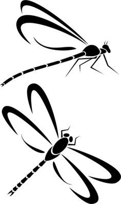 236x397 Best Dragonfly Drawing Ideas Dragonfly Tattoo