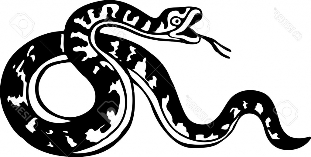 1024x518 Simple Snake Drawing Simple Black And White Drawing Of A Snake