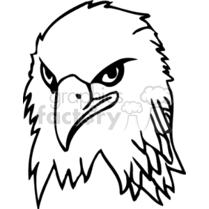 300x300 Royalty Free Profile Of Forward Facing Bald Eagle Black And White