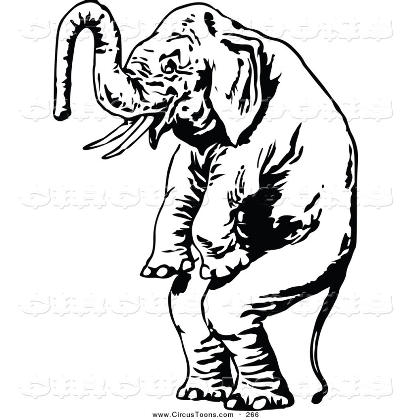 830x846 Standing Elephant Clipart