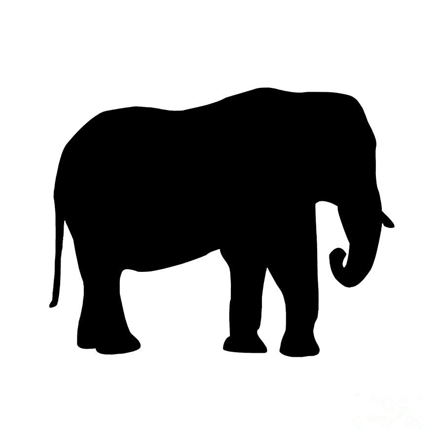 900x900 Elephant Black And White Clipart