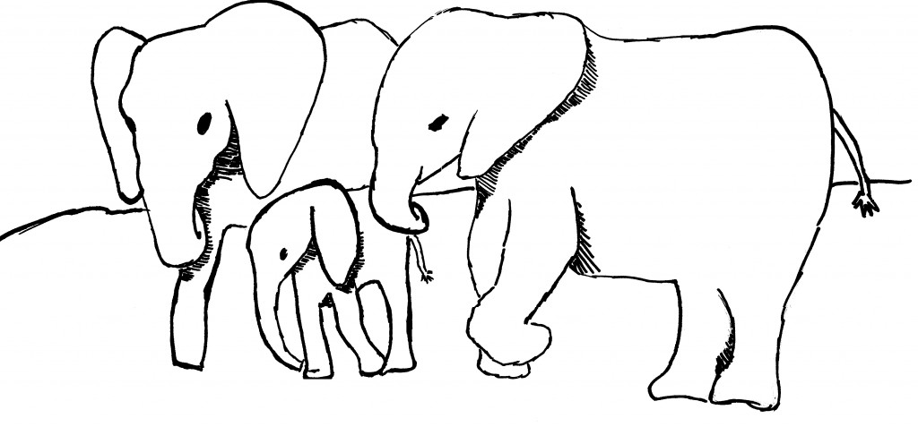 1024x477 Elephant Black And White Baby Elephant Outline Clip Art