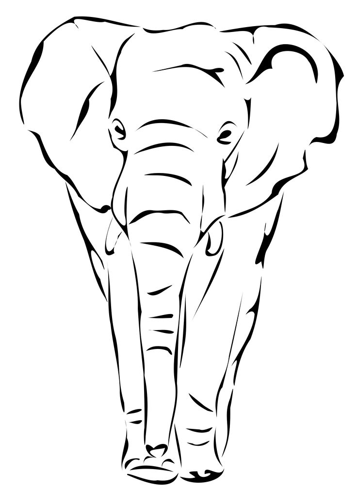 736x1040 Best Elephant Drawings Ideas Easy Elephant