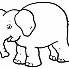 268x268 White Elephant Coloring Page Archives