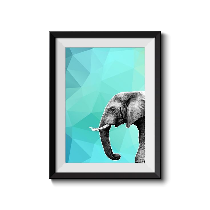 736x736 Best White Elephant Images Ideas White Elephant