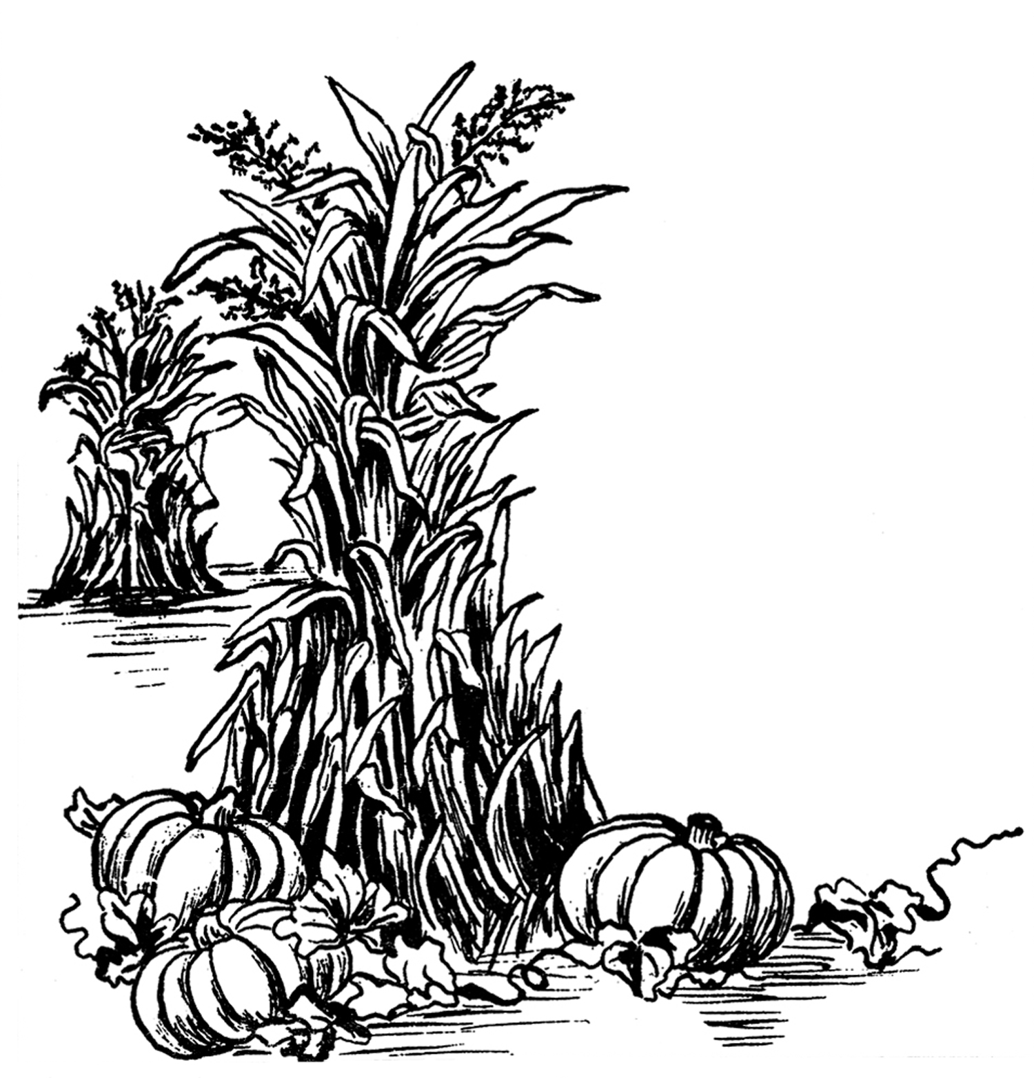 1500x1563 Fall Black And White Fall Harvest Clip Art Black And White
