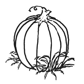 320x320 Pumpkin Black And White Pumpkin Clipart Black And White 9