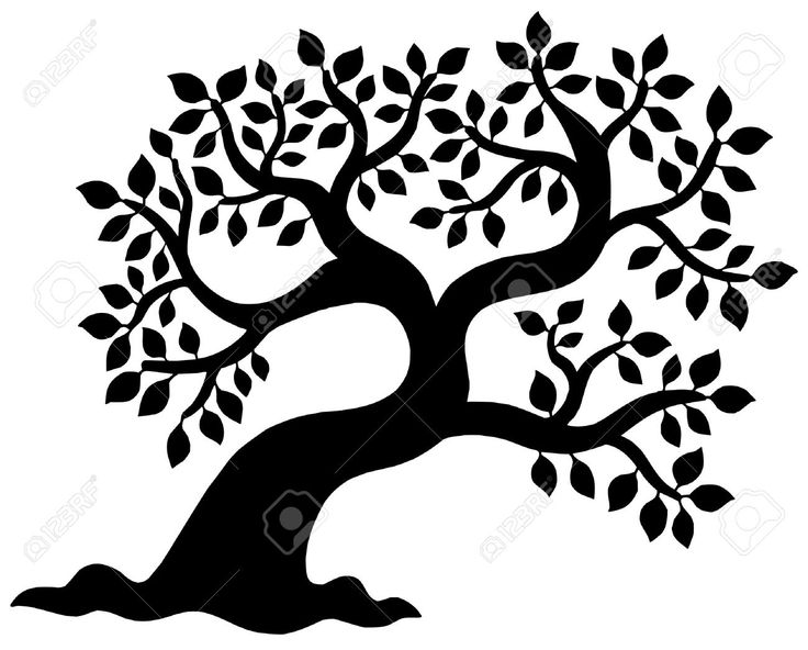 736x592 487 Best Silhouettes Tree Silhouettes Images