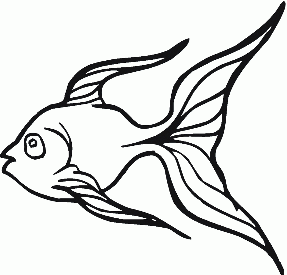 940x898 Fish Net Clipart Goldfish