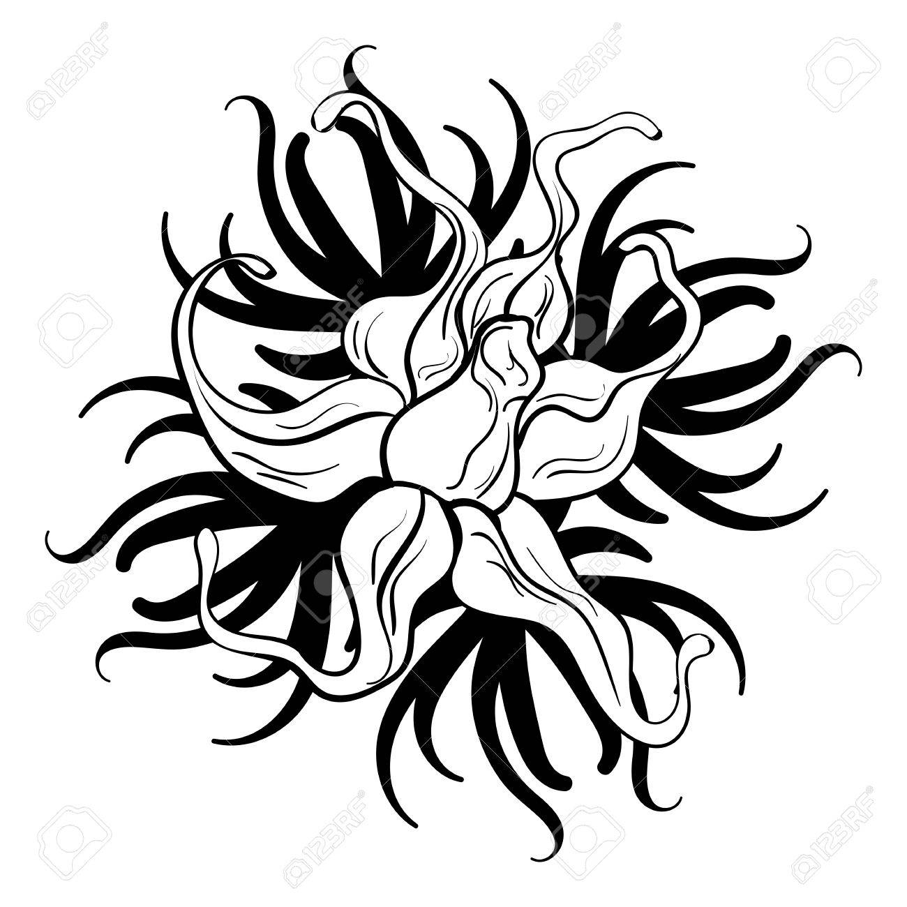 1300x1300 Black And White Flower Tattoos Images