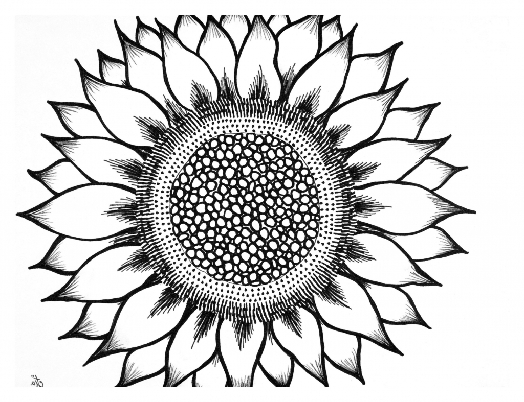 Black And White Flower Drawing | Free download on ClipArtMag