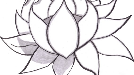 Black And White Flower Drawing | Free download on ClipArtMag