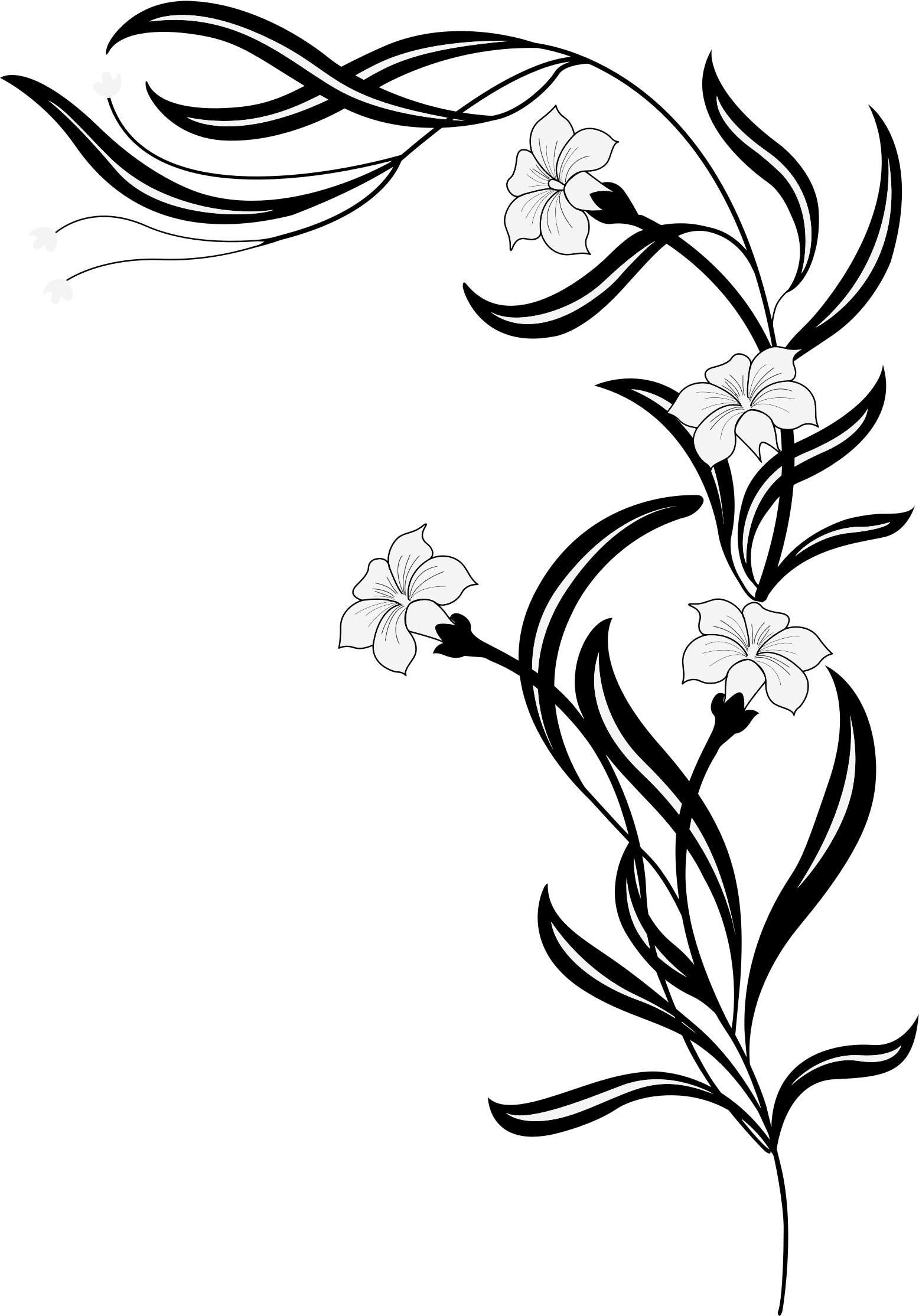 1556x2229 Clipart