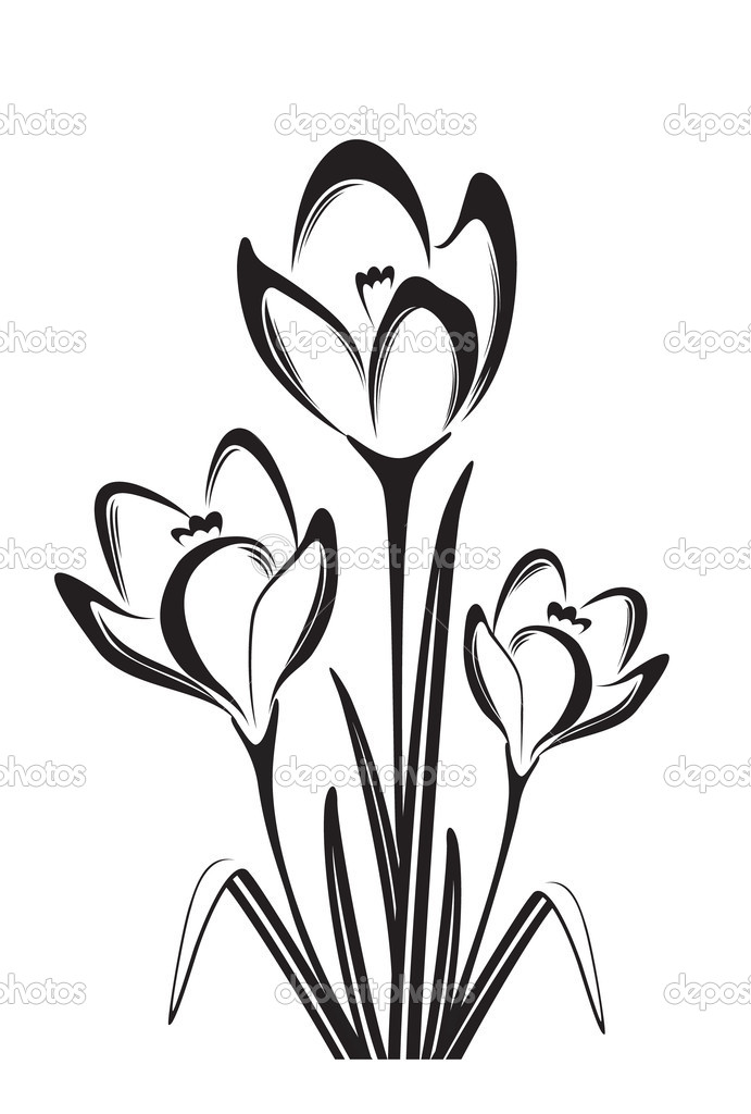 691x1024 Flower Black And White Drawing, Free Flower Black And White Drawing