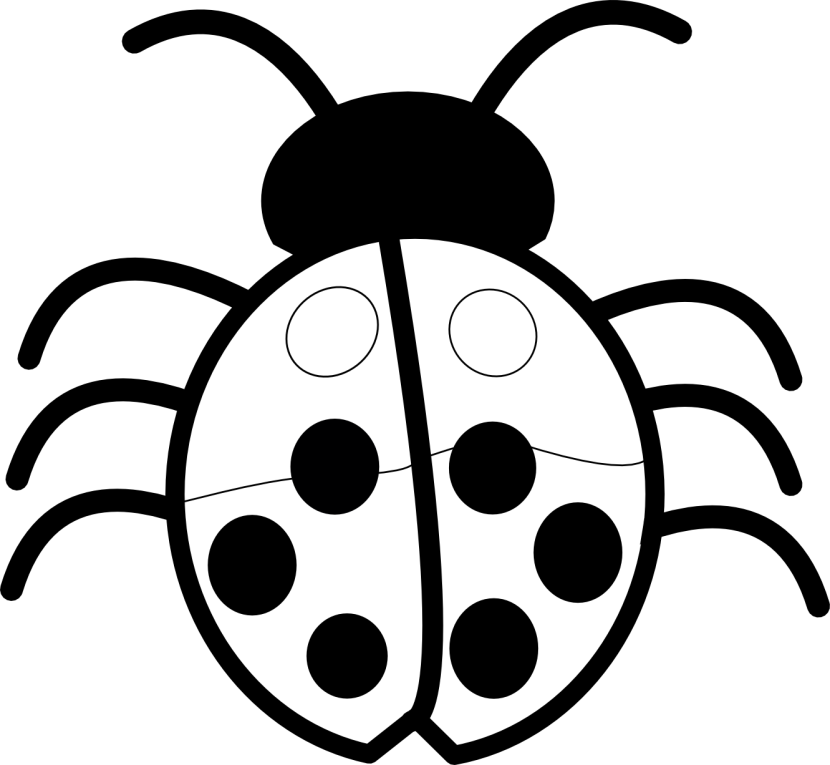 830x765 Flower Black And White Flower Clipart Black And White 5