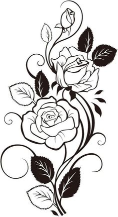 236x432 Black, Outline, Drawing, Flower, White, Flowers, Free Drawing