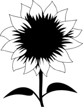 162x210 Free Black And White Plants Outline Clipart