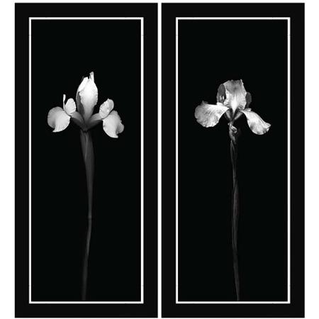 450x450 Cheap White Flower Wall, Find White Flower Wall Deals On Line