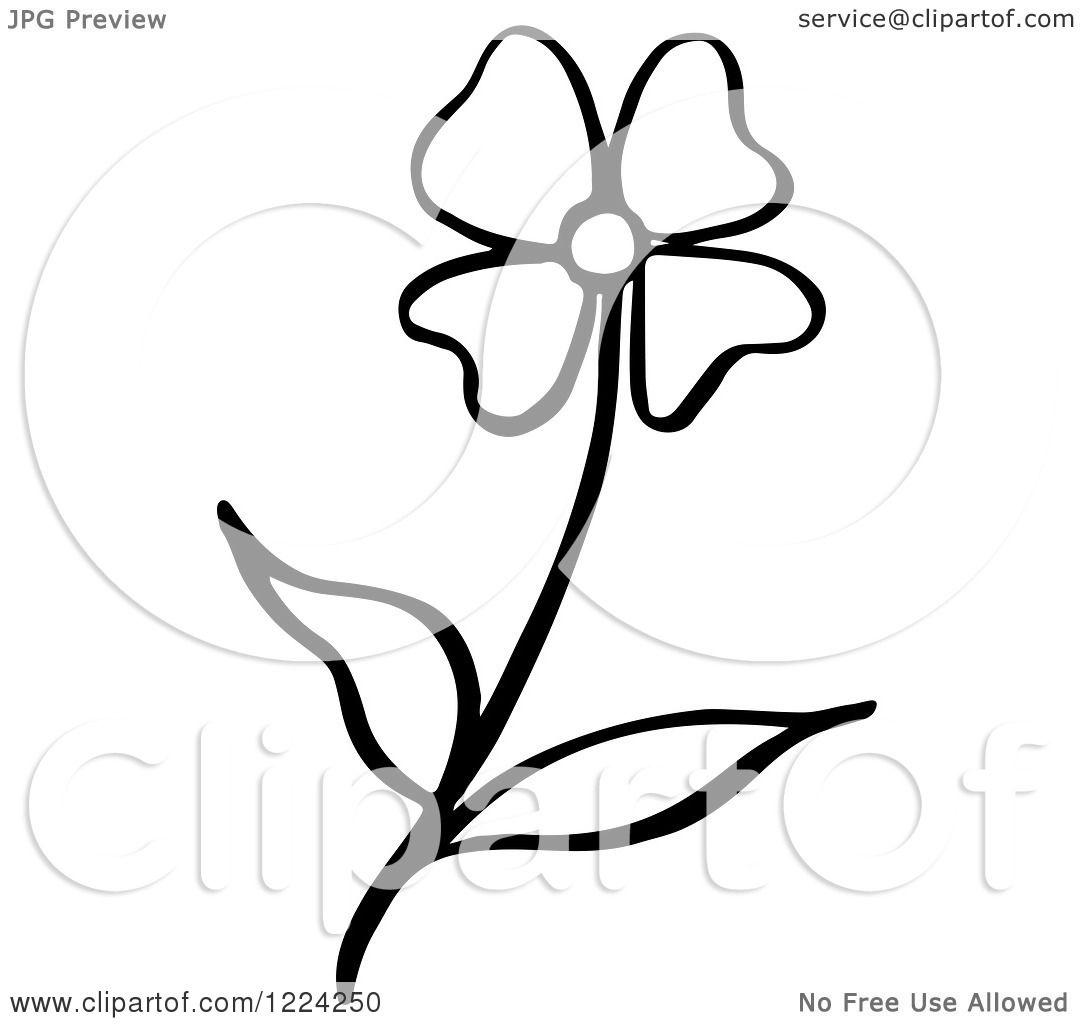 1080x1024 Clipart Of A Black And White Flower