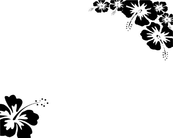 600x480 Black White Flower Wallpaper By Revenniaga Real