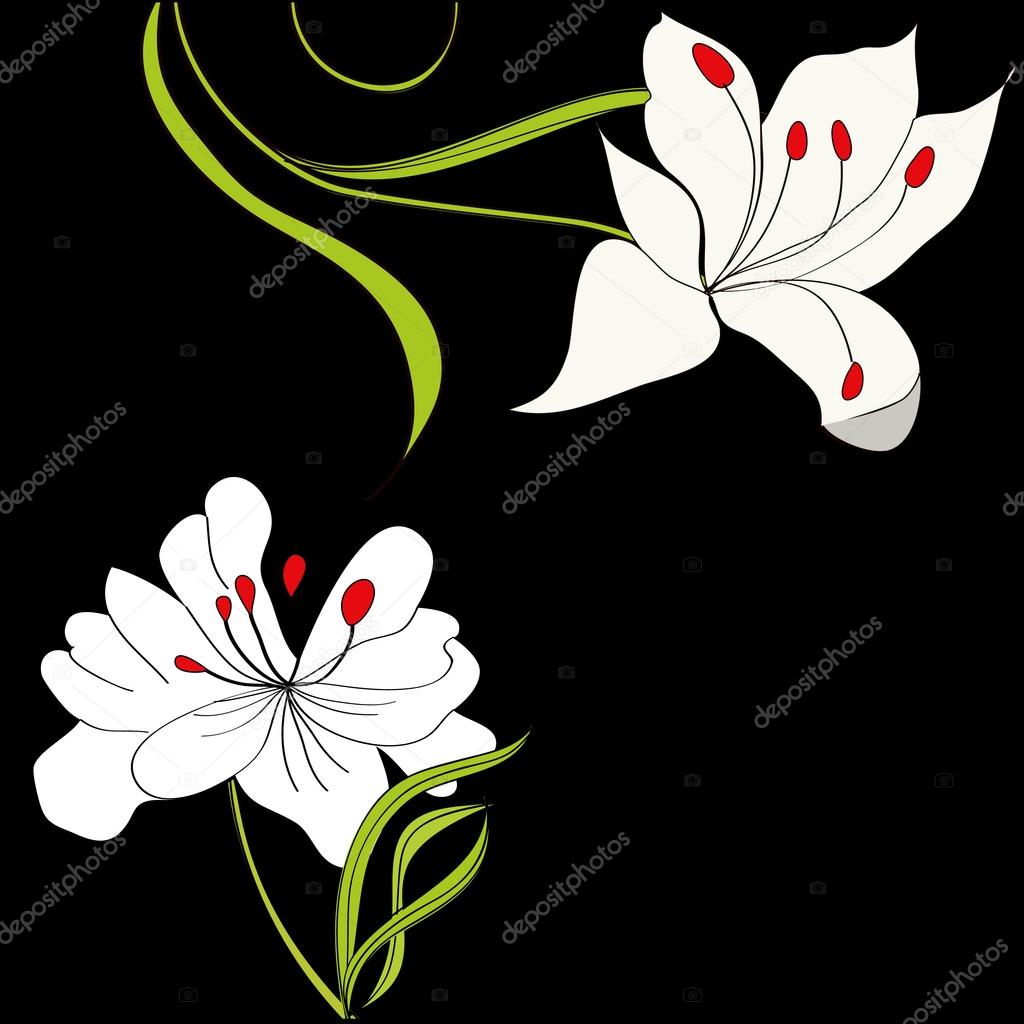 1024x1024 Black Background With White Flowers Stock Vector Jershova