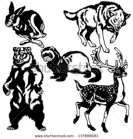 450x470 Top 97 Jackrabbit Clip Art