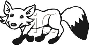 300x153 And White Fox