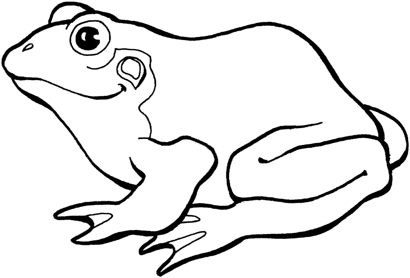 830x562 Frog Clipart Black And White