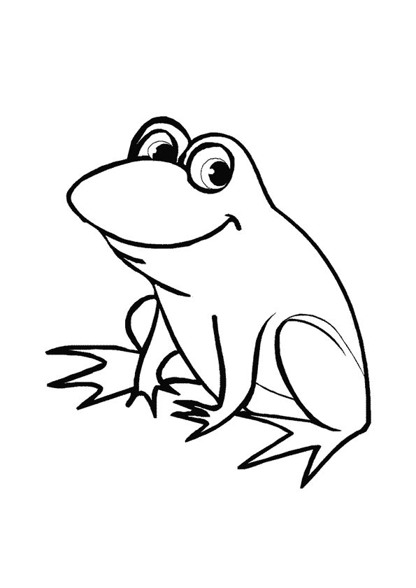 Black And White Frog Pictures