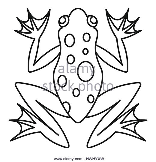 520x540 Frog Jump Black And White Stock Photos Amp Images