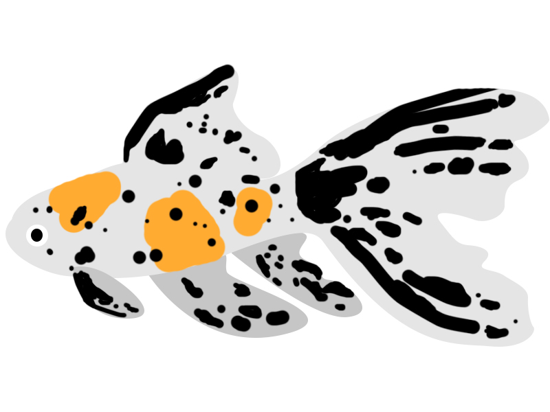 800x600 21 Incredible Types Of Goldfish