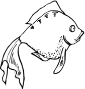 169x176 Goldfishes Coloring Pages Free Coloring Pages