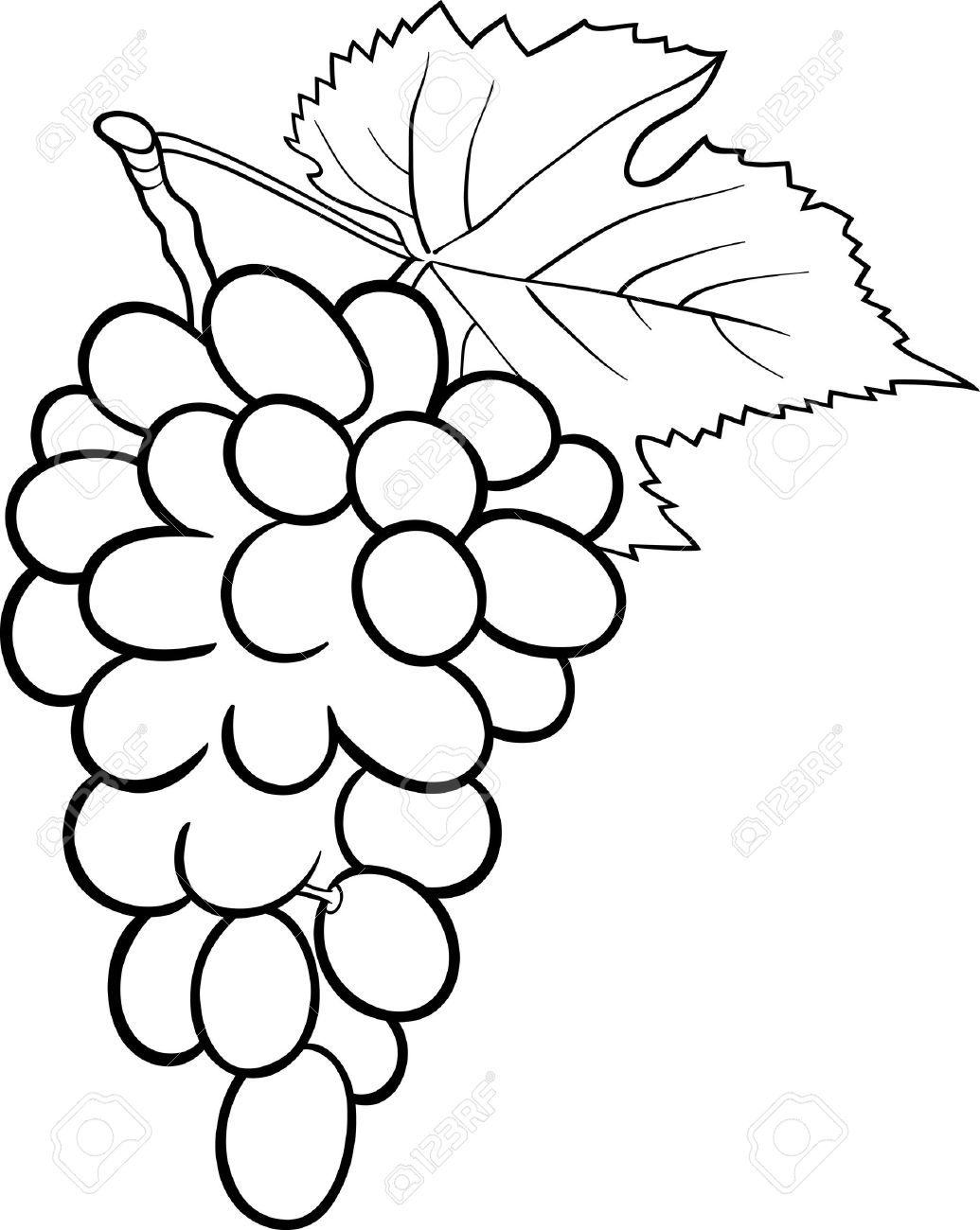 1035x1300 Grape Clipart Black And White