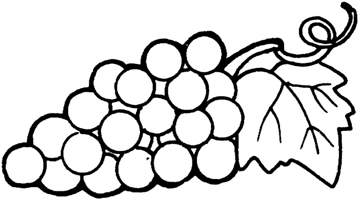 700x391 Grapes Clipart Drawn