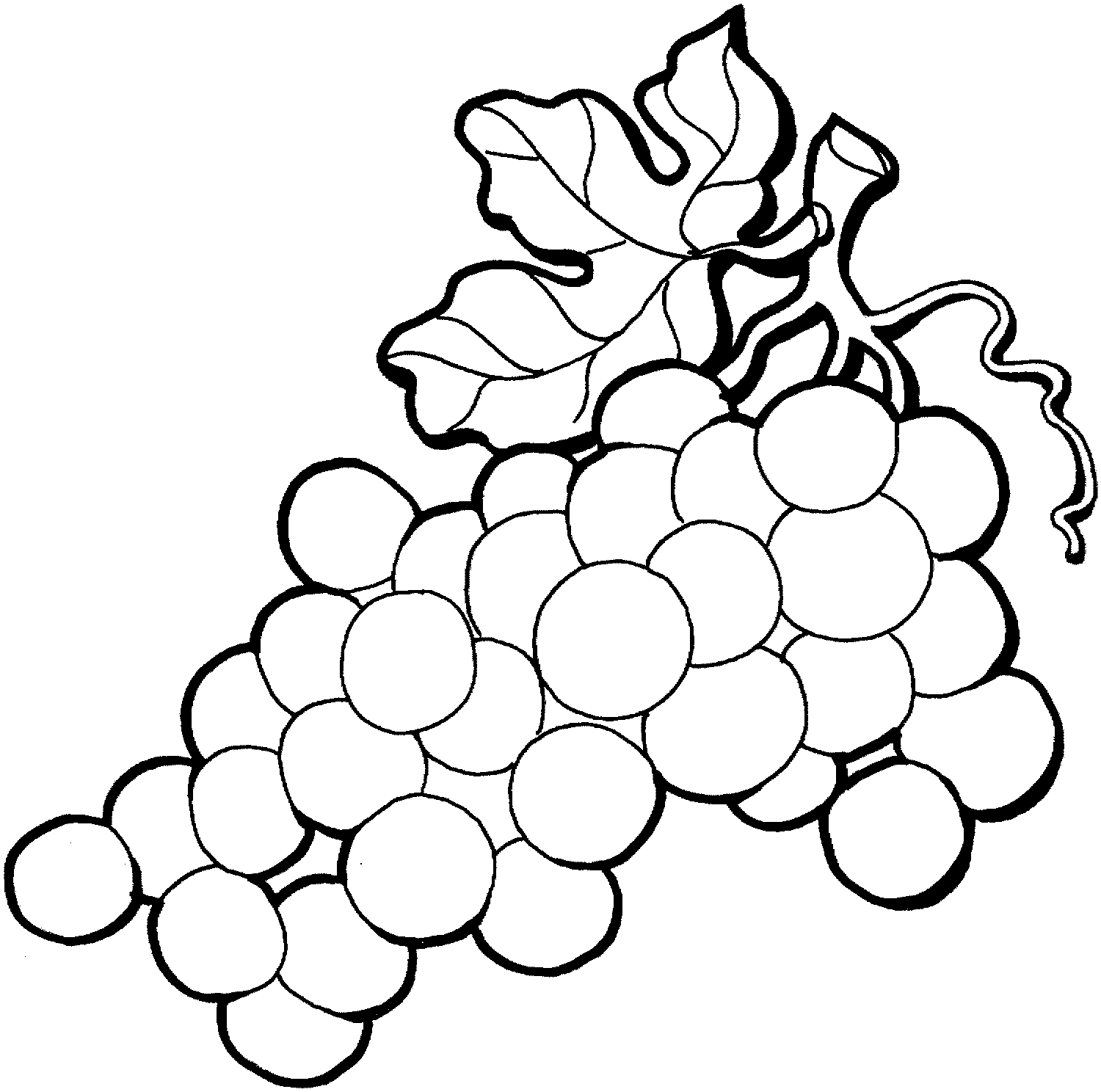 1500x1488 Grapes Clipart Line Drawing