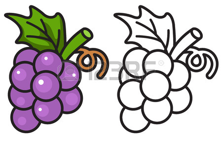 450x286 Illustration Of Isolated Colorful And Black And White Grapes